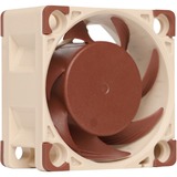 Noctua NF-A4x20 FLX Computerkabinet Ventilator 4 cm Beige, Brun, Sag fan Ventilator, 4 cm, 3700 rpm, 5000 rpm, 14,9 dB, 9,4 m³/t