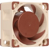 Noctua NF-A4x20 PWM Computerkabinet Ventilator 4 cm Beige, Brun, Sag fan Ventilator, 4 cm, 1200 rpm, 5000 rpm, 14,9 dB, 9,4 m³/t