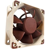 Noctua NF-A6x25 PWM Computerkabinet Ventilator 6 cm Beige, Brun, Sag fan Ventilator, 6 cm, 550 rpm, 3000 rpm, 19,3 dB, 29,2 m³/t