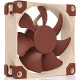 Noctua NF-A8 Computerkabinet Ventilator 8 cm Beige, Brun, Sag fan Ventilator, 8 cm, 2200 rpm, 17,7 dB, 55,5 m³/t, Beige, Brun