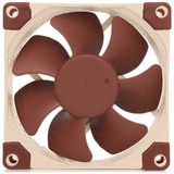 Noctua NF-A8 Computerkabinet Ventilator 8 cm Beige, Brun, Sag fan Ventilator, 8 cm, 2200 rpm, 17,7 dB, 55,5 m³/t, Beige, Brun