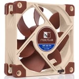 Noctua NF-A8 Computerkabinet Ventilator 8 cm Beige, Brun, Sag fan Ventilator, 8 cm, 2200 rpm, 17,7 dB, 55,5 m³/t, Beige, Brun