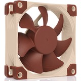 Noctua NF-A8 Computerkabinet Ventilator 8 cm Beige, Brun, Sag fan Ventilator, 8 cm, 450 rpm, 2200 rpm, 17,7 dB, 55,5 m³/t