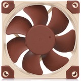 Noctua NF-A8 Computerkabinet Ventilator 8 cm Beige, Brun, Sag fan Ventilator, 8 cm, 450 rpm, 2200 rpm, 17,7 dB, 55,5 m³/t