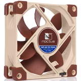 Noctua NF-A8 Computerkabinet Ventilator 8 cm Beige, Brun, Sag fan Ventilator, 8 cm, 450 rpm, 2200 rpm, 17,7 dB, 55,5 m³/t