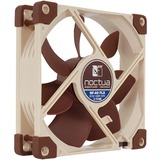 Noctua NF-A9 FLX Computerkølesystem Computerkabinet Ventilator 9,2 cm Beige, Brun, Sag fan Ventilator, 9,2 cm, 1600 rpm, 17,1 dB, 64,6 kubikfod/min., Beige, Brun