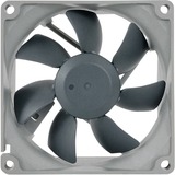 Noctua NF-B9 redux-1600 Computerkabinet Ventilator 9,2 cm Sort, Grå, Sag fan Ventilator, 9,2 cm, 350 rpm, 1600 rpm, 17,6 dB, 64,3 kubikfod/min.