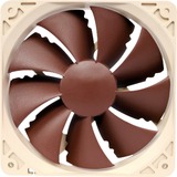 Noctua NF-P12 PWM Computerkølesystem Computerkabinet Ventilator 12 cm Brun, Hvid 1 stk, Sag fan Brown, Ventilator, 12 cm, 300 rpm, 1300 rpm, 92,3 m³/t, Brun, Hvid, Detail