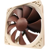 Noctua NF-P12 PWM Computerkølesystem Computerkabinet Ventilator 12 cm Brun, Hvid 1 stk, Sag fan Brown, Ventilator, 12 cm, 300 rpm, 1300 rpm, 92,3 m³/t, Brun, Hvid, Detail