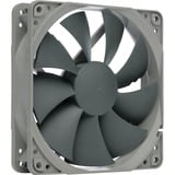 Noctua NF-P12 redux 900 Computerkabinet Ventilator 12 cm Grå, Sag fan Ventilator, 12 cm, 900 rpm, 12,6 dB, 63,4 m³/t, Grå