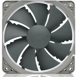 Noctua NF-P12 redux 900 Computerkabinet Ventilator 12 cm Grå, Sag fan Ventilator, 12 cm, 900 rpm, 12,6 dB, 63,4 m³/t, Grå