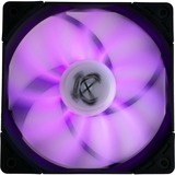 Scythe SU1225FD12HR-RN Computerkølesystem Universel Ventilator 12 cm Sort, Hvid 1 stk, Sag fan Ventilator, 12 cm, 800 rpm, 1800 rpm, 35,8 dB, 79,76 kubikfod/min.