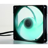 Scythe SU1225FD12HR-RN Computerkølesystem Universel Ventilator 12 cm Sort, Hvid 1 stk, Sag fan Ventilator, 12 cm, 800 rpm, 1800 rpm, 35,8 dB, 79,76 kubikfod/min.