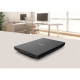 Canon CanoScan LiDE 300 Flatbed skanner 2400 x 2400 dpi A4 Sort, Fladscanner Sort, 215,9 x 297,18 mm, 2400 x 2400 dpi, 48 Bit, 48 Bit, 16 Bit, 8 Bit