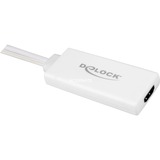 DeLOCK 62460 videokabel adapter 0,25 m HDMI Type A (Standard) VGA (D-Sub) + USB Hvid Hvid, 0,25 m, HDMI Type A (Standard), VGA (D-Sub) + USB, Hanstik, Hunstik, 1920 x 1080 pixel