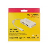 DeLOCK 63924 video-splitter, Adapter Hvid, USB Type-C, 3840 x 2160 pixel, Hvid, 60 Hz, 0,13 m, Windows 10,Windows 7,Windows 8.1