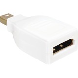 DeLOCK DisplayPort Mini M/FM DP Mini M DP FM Hvid, Adapter Hvid, DP Mini M, DP FM, Hvid, Lite detail