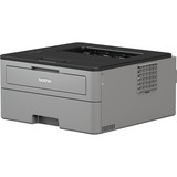 Brother HL-L2310D laser printer 2400 x 600 dpi A4 grå/Sort, Laser, 2400 x 600 dpi, A4, 30 sider pr. minut, Duplex udskrivning, Sort, Grå