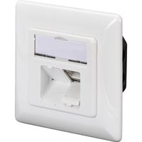 Digitus CAT.6A dataudtag, indbygget, afskærmet, 2x RJ-45 LSA, Samledåse Hvid