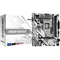 ASRock H610M-HDV/M.2+ D5, Bundkort 