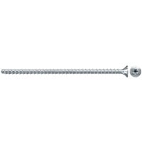 fischer PowerFull II 10,0x100 SK TX VG, 562943, Skrue 
