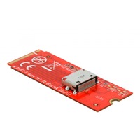 DeLOCK M.2 Key M til 1 x OCuLink SFF-8612 konverter, Interface card 