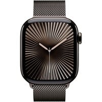 Apple MX053QF/A, SmartWatch Skifer