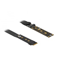 DeLOCK Forlænger til M.2 Key M NVMe med 20 cm kabel, Forlængerledning 