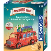 KOSMOS 621384, Eksperiment boks