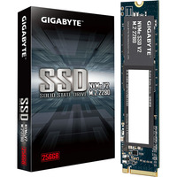 GIGABYTE G3NVMEV2256G, Solid state-drev 