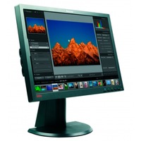 Lenovo G205548-001A1, LED-skærm Sort