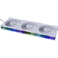 Lian Li 12TL3W, Sag fan Hvid