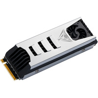 Patriot Viper PV553 2TB, Solid state-drev Sort/Hvid