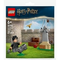 LEGO Harry Potter Quidditch™-lektion, Bygge legetøj Byggesæt, 6 År, Plast, 27 stk, 30 g