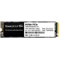 Team Group MP33 256 GB, Solid state-drev 