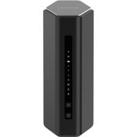 Netgear RS500-100EUS, Router