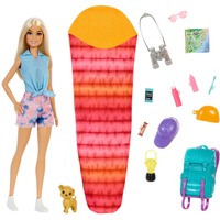 Mattel Dreamhouse Adventures Barbie-dukke og tilbehør Mode dukke, Hunstik, 3 År, Pige, 298 mm, 200 g