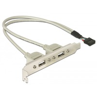 DeLOCK Slotbracket 1x internal USB 5pin > 2x USB2.0 external USB-kabel 0,3 m USB A Hvid, Slot beslag grå, 0,3 m, USB A, Hvid
