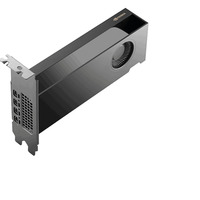PNY NVIDIA RTX PRO 2000 Blackwell Generation 16GB PB, Grafikkort Bulk