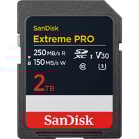 SanDisk Hukommelseskort Sort