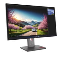 Lenovo P32UD-40(C25315UP0), LED-skærm Sort