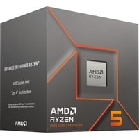 AMD Ryzen™ 5 8400F, Processor boxed