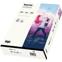 Inapa 2100011360, Papir