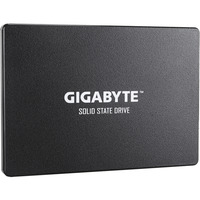 GIGABYTE Solid state-drev Sort