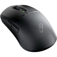 Turtle Beach TBM-2101-05, Gaming mus Sort