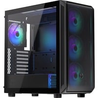 ENDORFY EY2A013, Towerkabinet Sort
