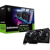 MSI V537-005R, Grafikkort 