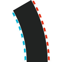 Carrera Racerbane