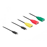 DeLOCK 64203, USB hub