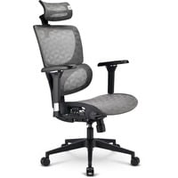 Sharkoon OfficePal C40M, Stol grå